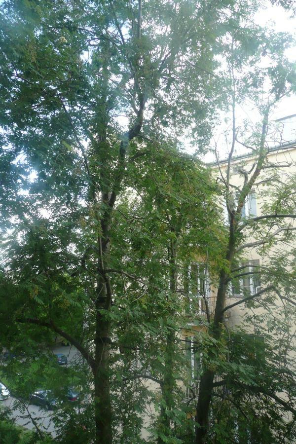 Sunny Wisla River Apartment 바르샤바 외부 사진